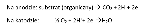 Reakcje zachodzące w mikrobiologicznym ogniwie paliwowym